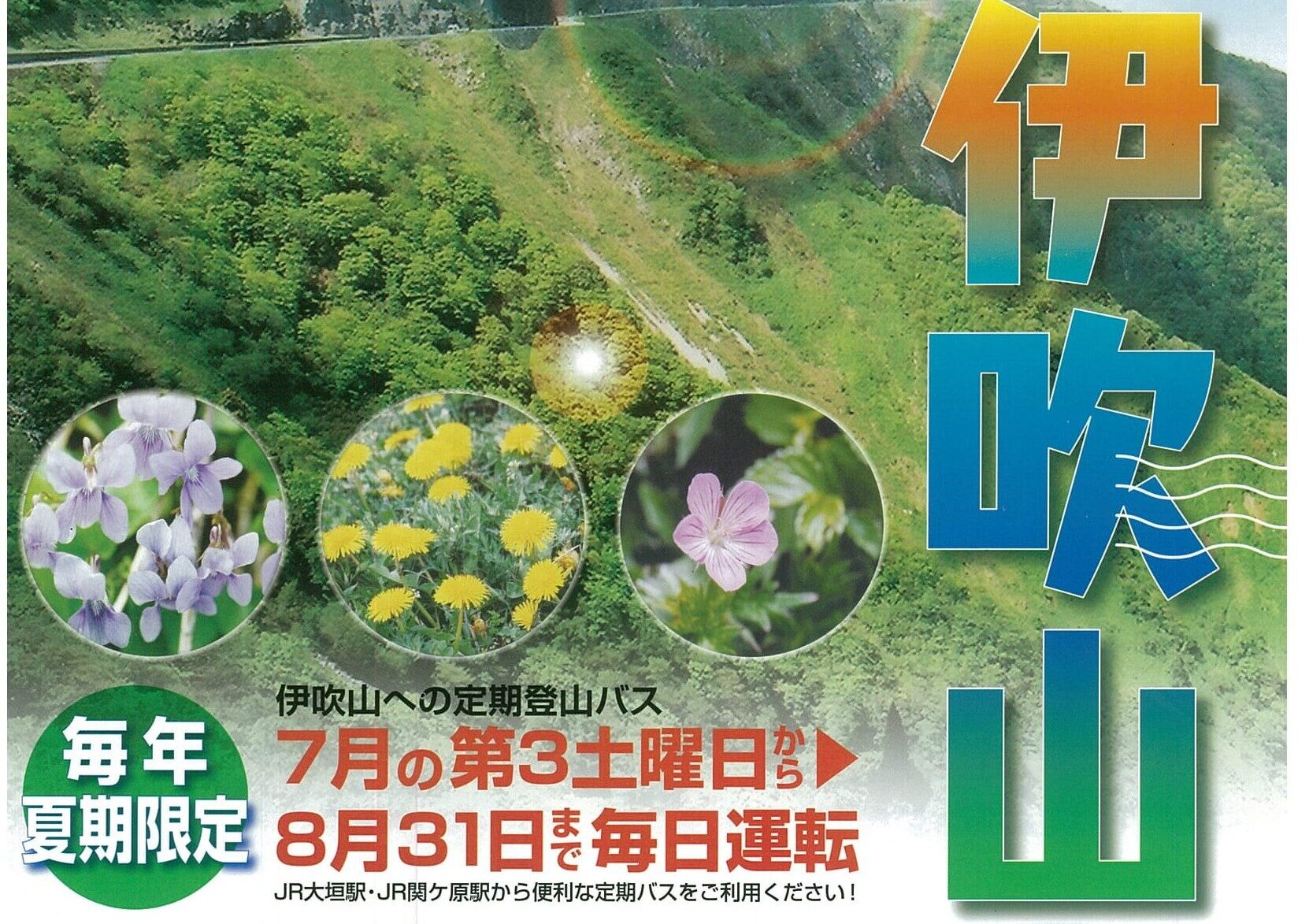 青空へ駆け上がる道 伊吹山ドライブウェイ